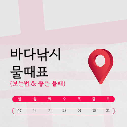 바다낚시 물때표 보는법 & 좋은 물때 완전정복