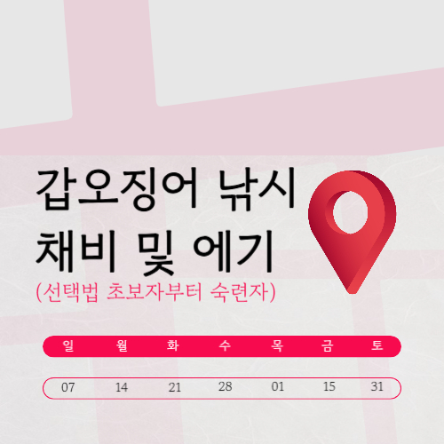 갑오징어 낚시 채비 및 에기 선택법 (초보자부터 숙련자)