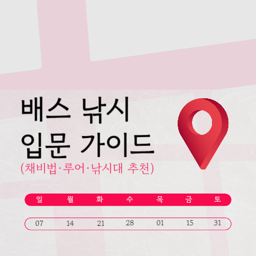 배스 낚시 입문 가이드 (채비법·루어·낚시대 추천)