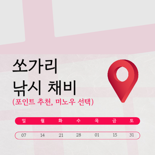 쏘가리 낚시 채비 (+포인트 추천, 미노우 종류 선택)